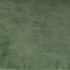 salvia-green