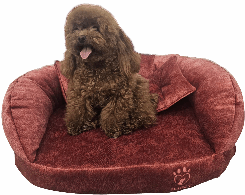 Camas Ortopédicas para Perros y Gatos