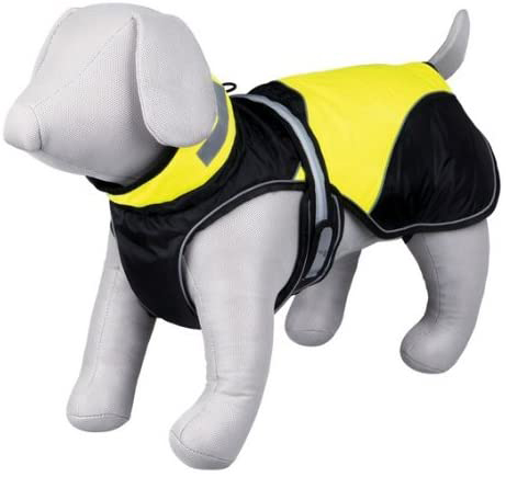 Capa Seguridad Flash